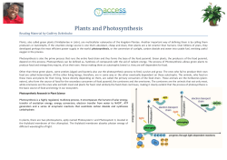 Plants and Photosynthesis
