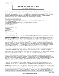 the pdf here