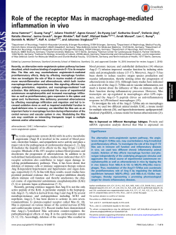Role of the receptor Mas in macrophage
