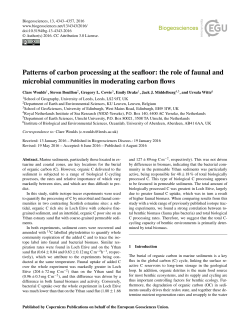 Patterns of carbon processing at the seafloor: the