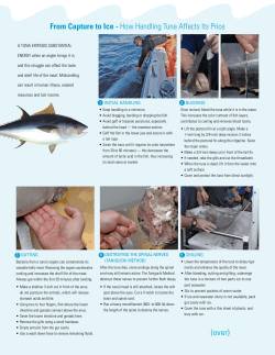 (over) From Capture to Ice - How Handling Tuna Affects Its Price