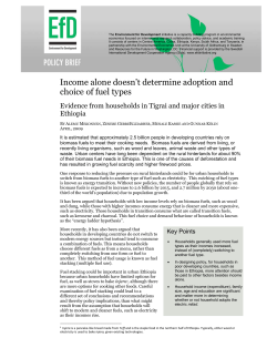 Income alone doesn`t determine adoption and choice of fuel types