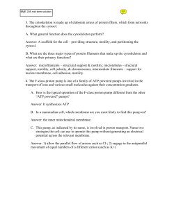 3. The cytoskeleton is made up of elaborate arrays of protein fibers