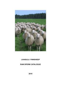 RAM SPERM catalog,1.2010