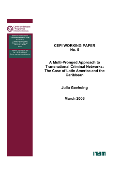 A Multi-Pronged Approach to Transnational Criminal Networks