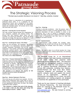 TPG -Strategic Visioning Process