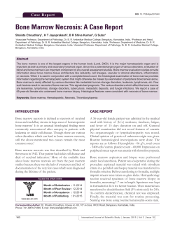 Bone Marrow Necrosis: A Case Report