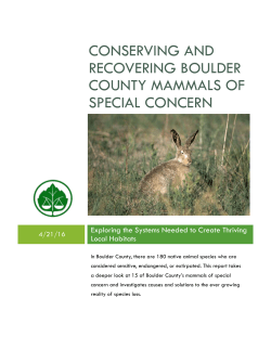Conserving and Recovering Boulder County Mammals of Special