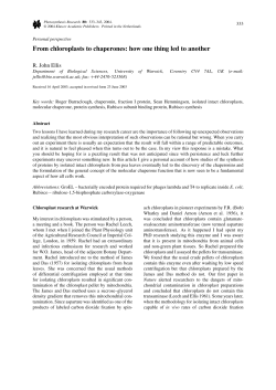From chloroplasts to chaperones: how one thing led