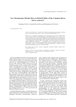 Sex Chromosome Meiotic Drive in Hybrid Males of