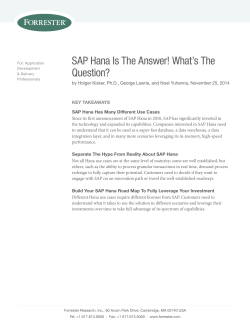 SAP HANA Is The Answer! What`s The Question?