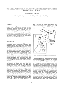 as a PDF
