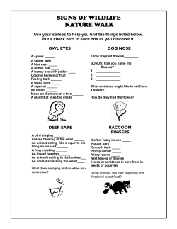 Animal Senses Scavenger Hunt