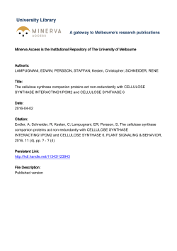 The cellulose synthase companion proteins act non