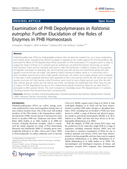 Examination of PHB Depolymerases in Ralstonia eutropha: Further