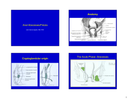 Anal Abscesses/Fistula Anatomy Cryptoglandular origin The Acute