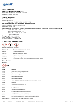 Porcelain Tile Mortar - SDS EN - White