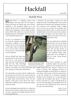 Newsletter 2 (Read-Only)