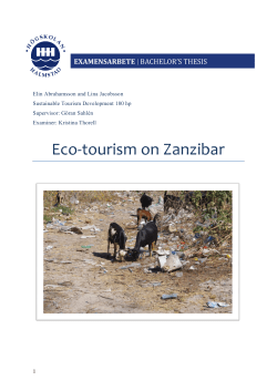 Eco-tourism on Zanzibar