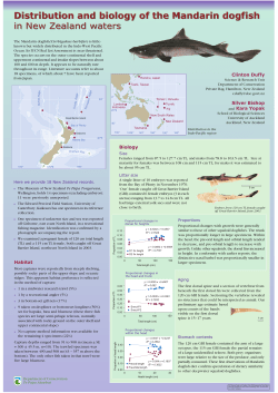 Distribution and biology of the Mandarin dogfish in New Zealand
