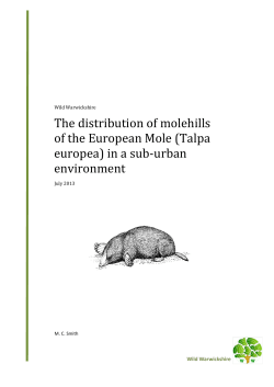 The distribution of molehills of the European Mole (Talpa europea