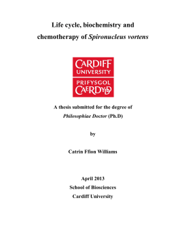 files - ORCA - Cardiff University