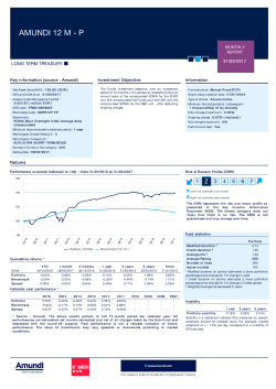 AMUNDI 12 M