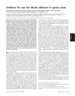 Evidence for van der Waals adhesion in gecko setae