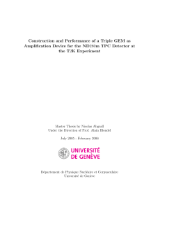 Construction and Performance of a Triple GEM as Amplification