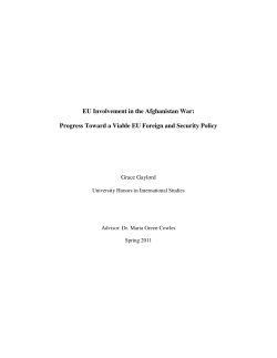EU Involvement in the Afghanistan War: Progress Toward a Viable
