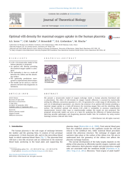Optimal villi density for maximal oxygen uptake in the human placenta