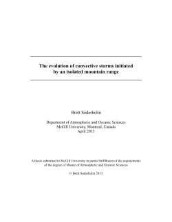 The evolution of convective storms initiated by an isolated mountain