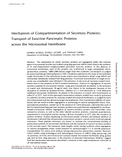 Mechanism of Compartmentation of Secretory Proteins: Transport of