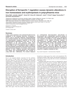 Disruption of ferroportin 1 regulation causes dynamic