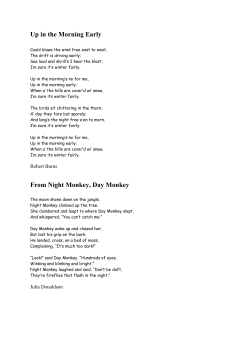 Up in the Morning Early From Night Monkey, Day Monkey