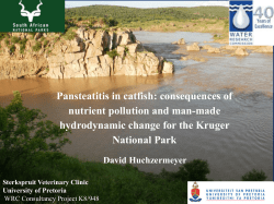 Pansteatitis in catfish: consequences of nutrient