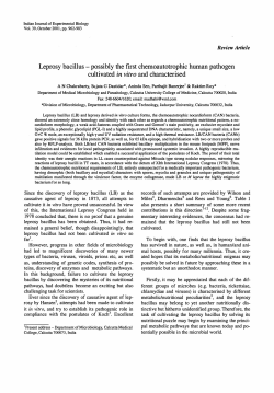 Leprosy bacillus - possibly the first chemoautotrophic human