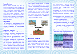 Introduction Objective Sources of pollution Pollution impacts