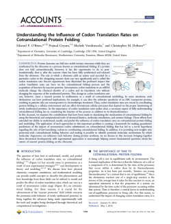 Understanding the Influence of Codon Translation Rates on