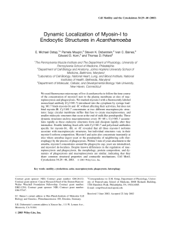 Dynamic localization of myosin-I to endocytic