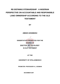 ahiamadu_redefining_2007