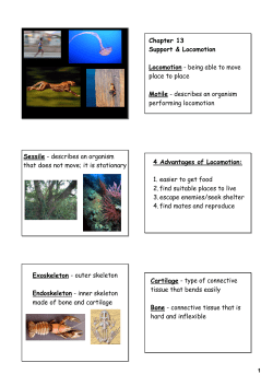 CH 13 Notes
