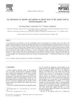 An interaction of opioids and galanin in dorsal horn of the spinal
