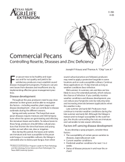 Commercial Pecans - AgriLife Extension County Offices
