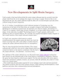 New Developments in Split Brain Surgery