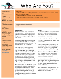 Bird Call Matching Game