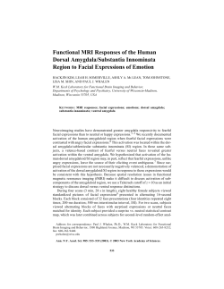 Functional MRI Responses of the Human Dorsal Amygdala
