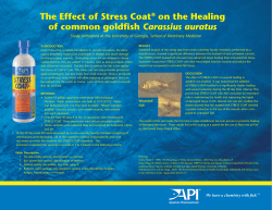 The Effect of Stress Coat&reg; on the Healing of common