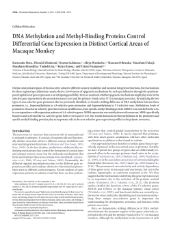 PDF - Journal of Neuroscience