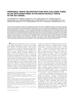 Peripheral nerve reconstruction with collagen tubes filled with